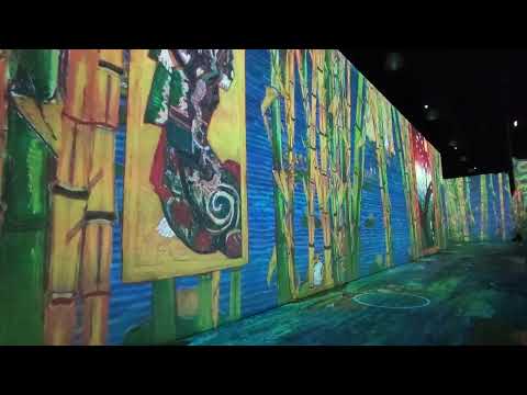 Van Gogh Exhibit 2022 Performance 4 of 7