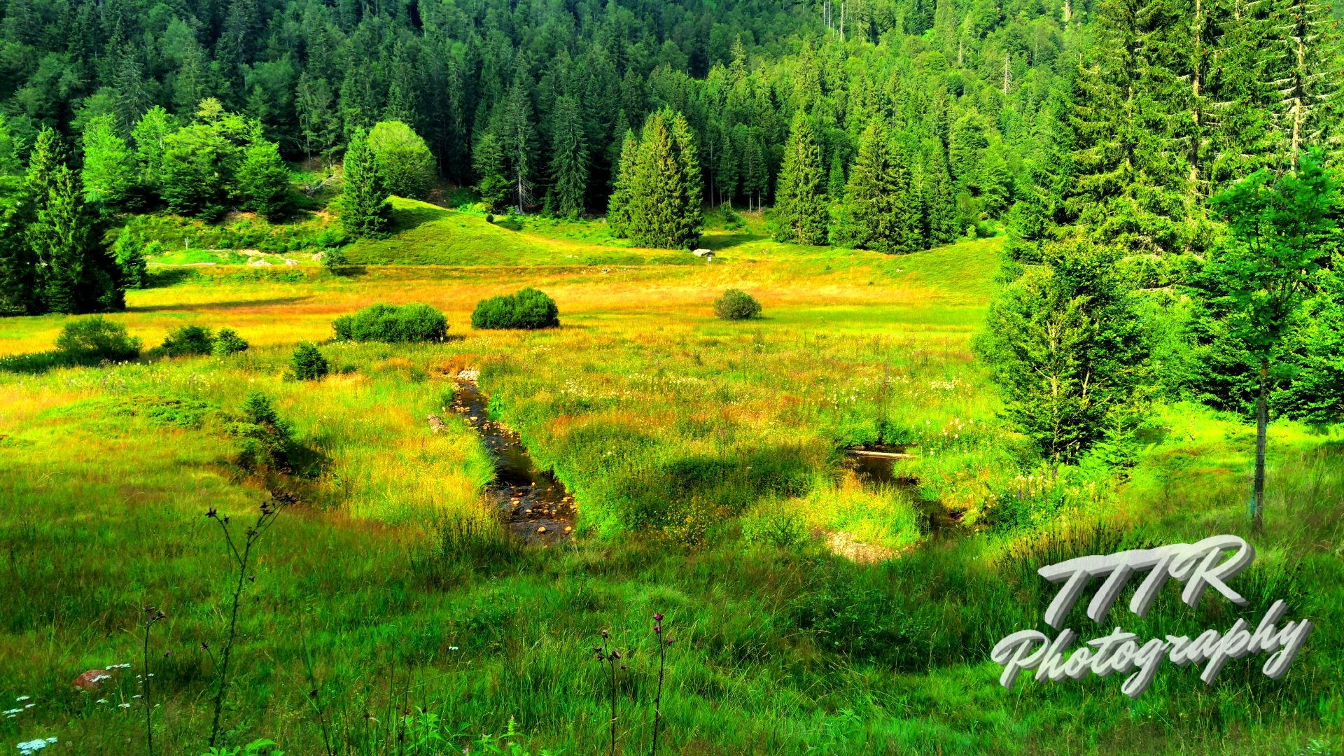 Black Forest (Schwarzwald), Germany – Here there be witches