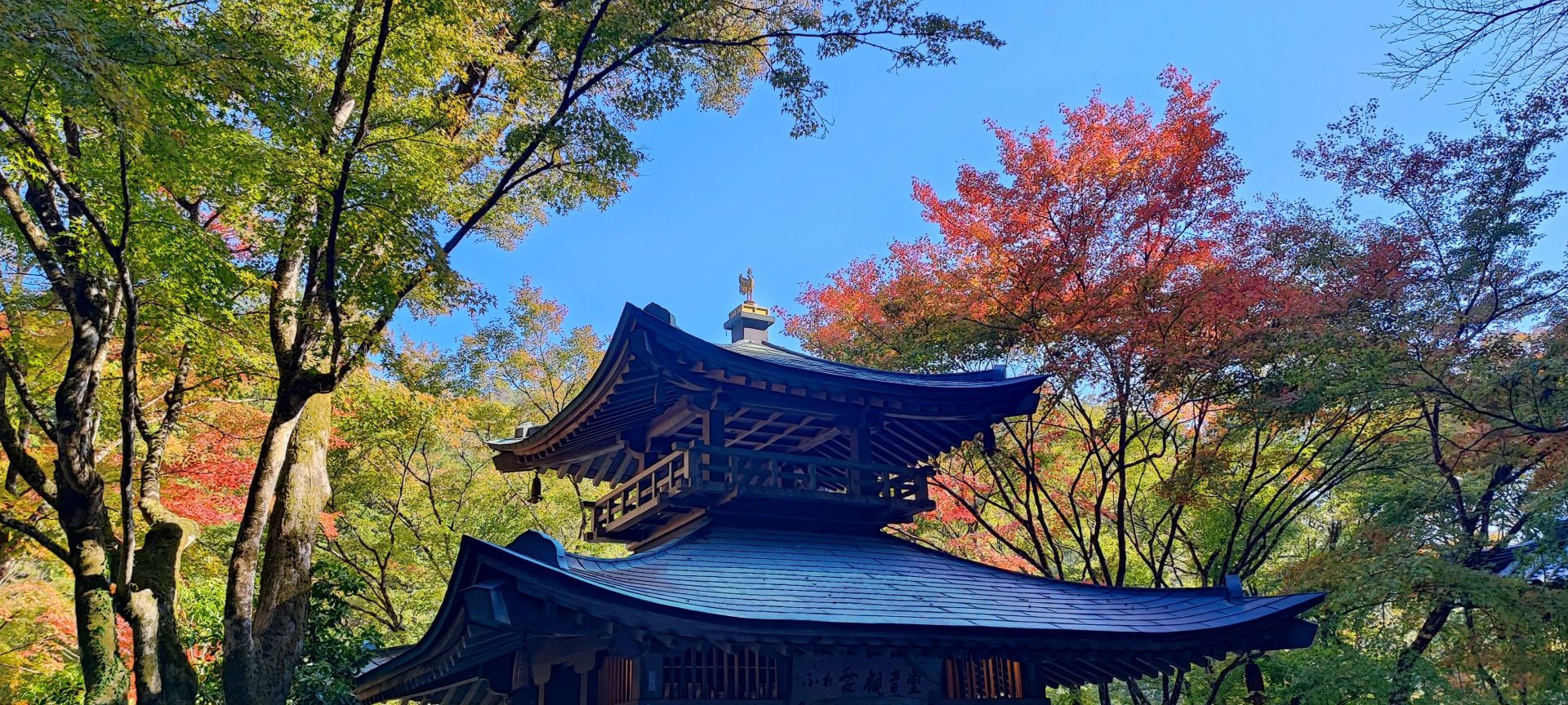 Otagi Nenbutsuji: A Whimsical Oasis Amidst Kyoto’s Serenity
