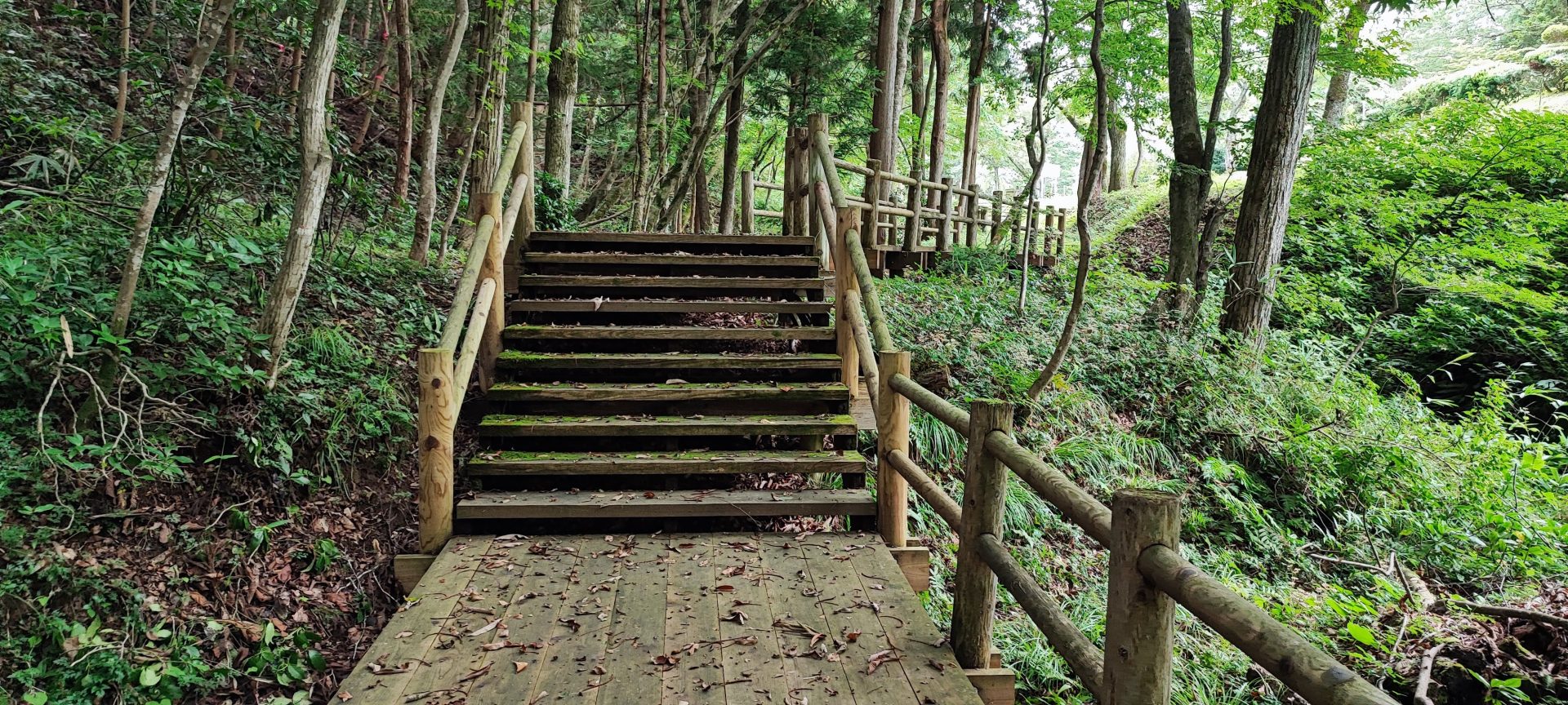 Hiraizumi Nature Trail: A Secret Path Between Temples