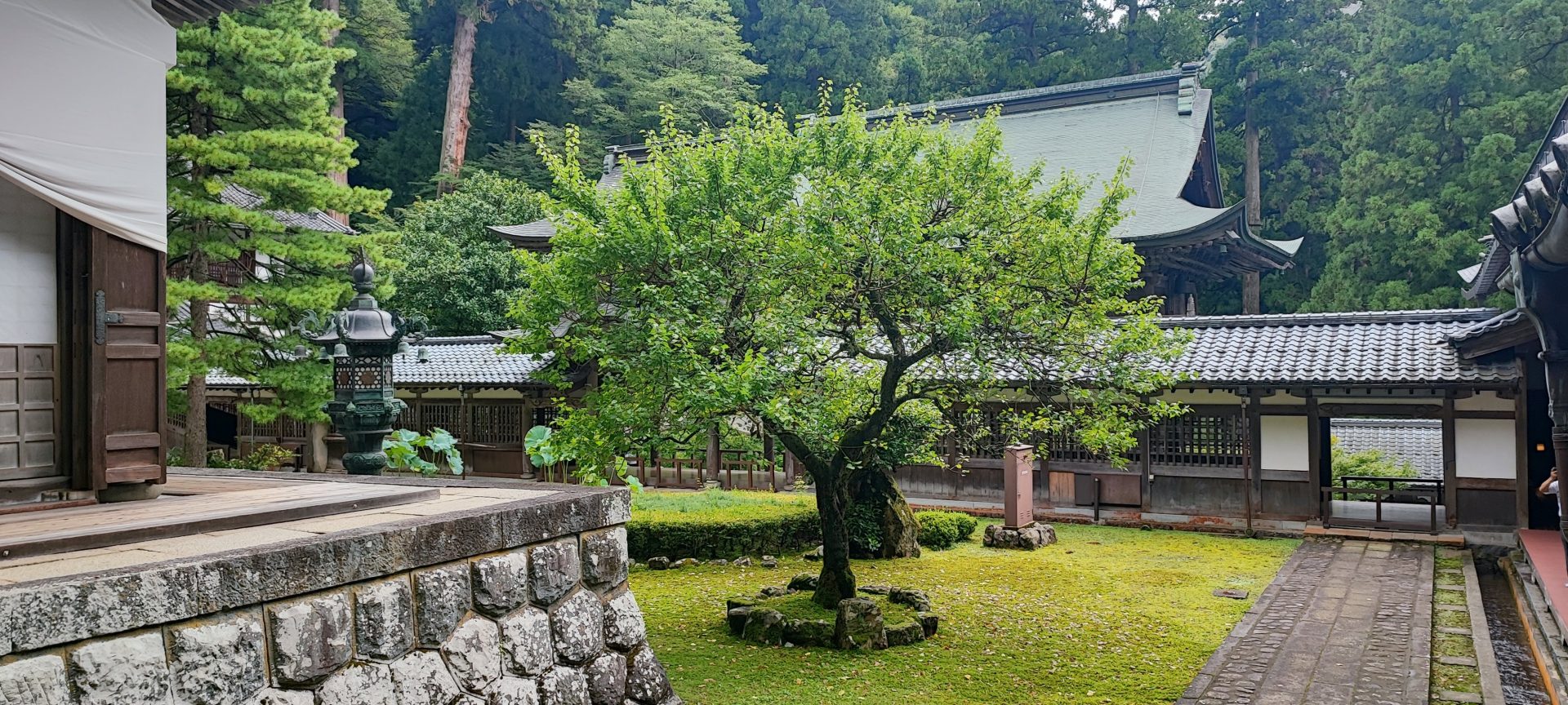 Eiheiji Temple: Temple in the Shape of a Seated Buddha