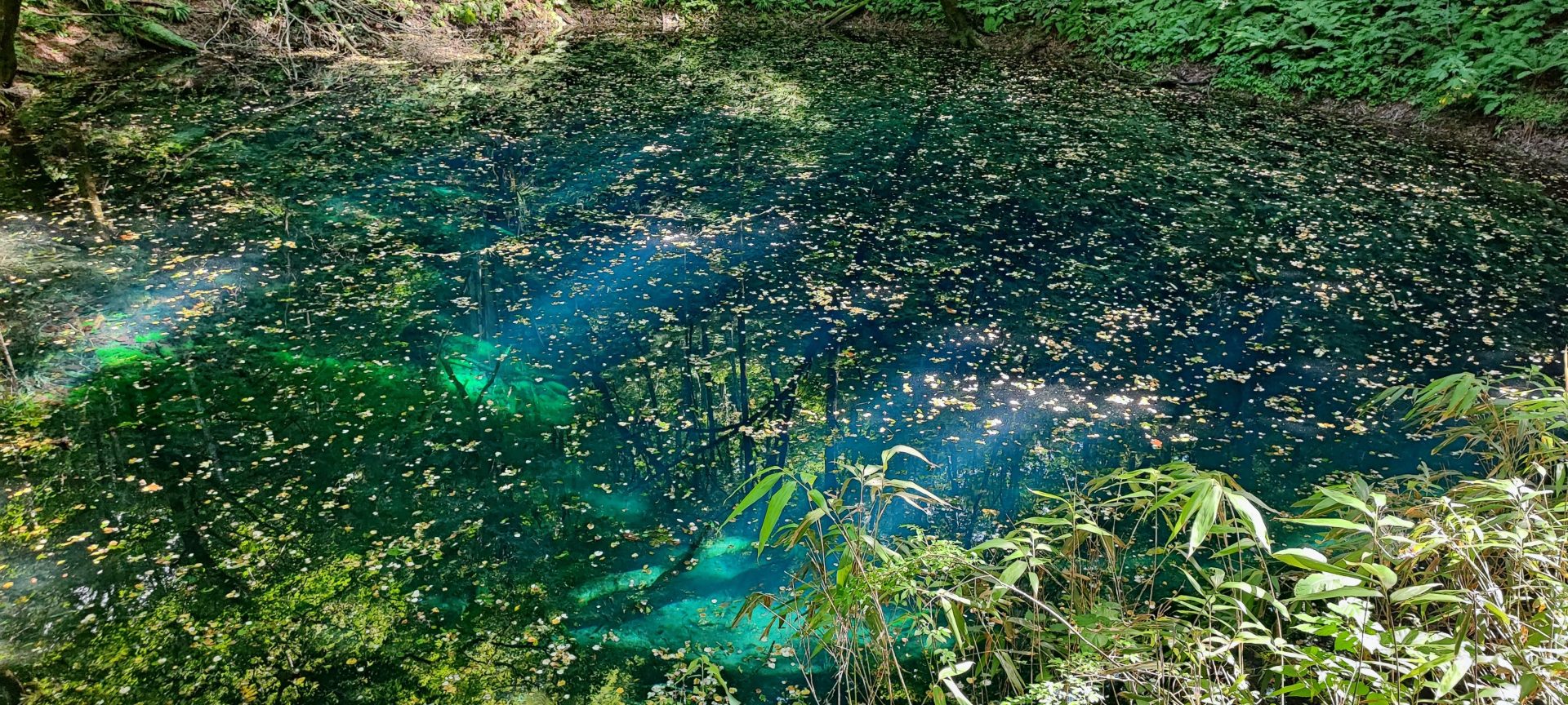 Blue Pond and the Juniko Lakes of Aomori Prefecture