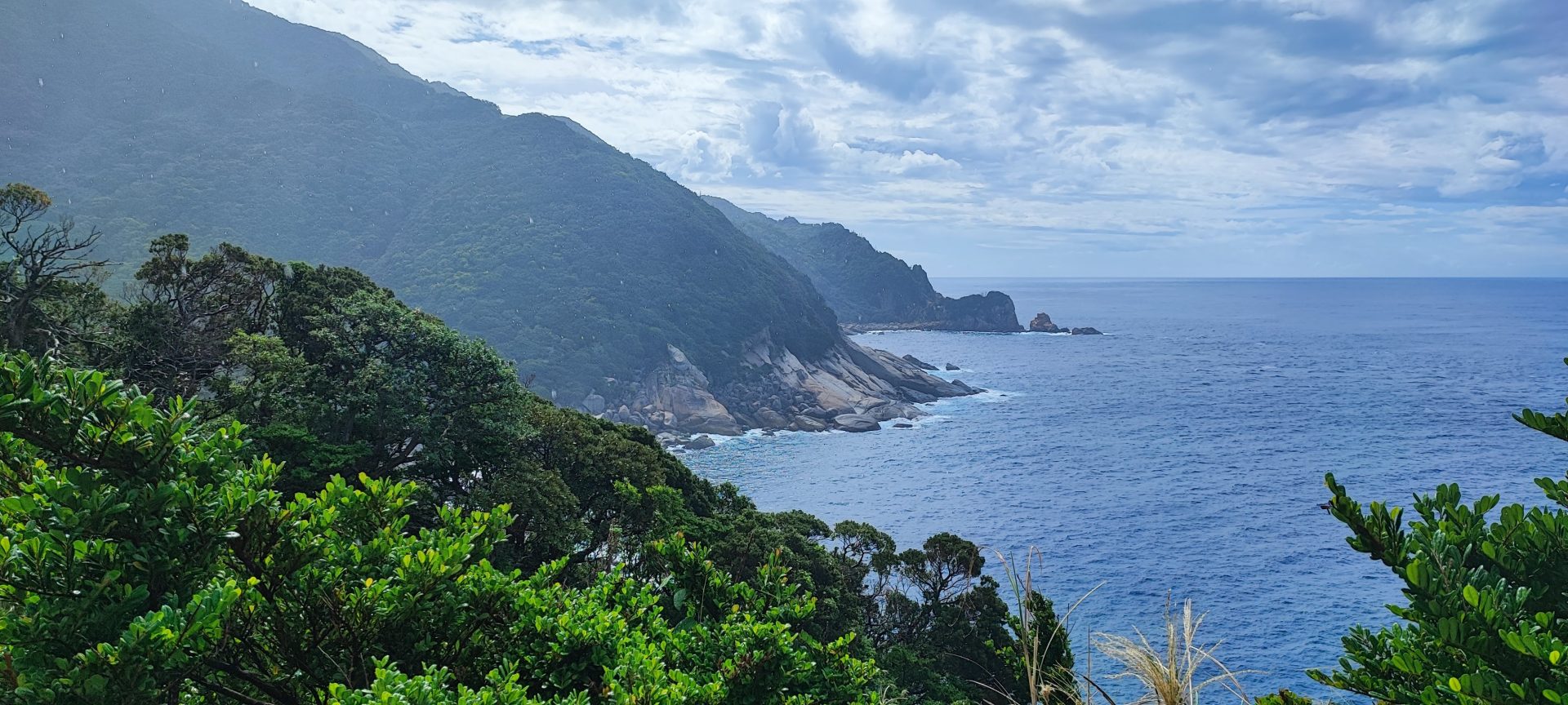 Yakushima UNESCO World Heritage Listed Coastal Road with Wildlife