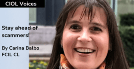 Translation Scams: A Emerging reality in the Translation Industry